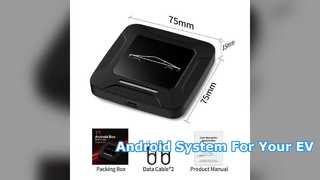 Android AI Box for Tesla LiXiang and NIO EV Cars